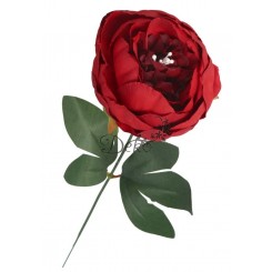 PIWONIA PEONIA GAŁĄZKA POJEDYNCZA DUŻA JAK ŻYWA