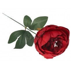 PIWONIA PEONIA GAŁĄZKA POJEDYNCZA DUŻA JAK ŻYWA