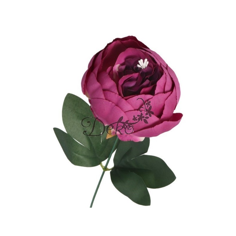 PIWONIA PEONIA GAŁĄZKA POJEDYNCZA DUŻA JAK ŻYWA