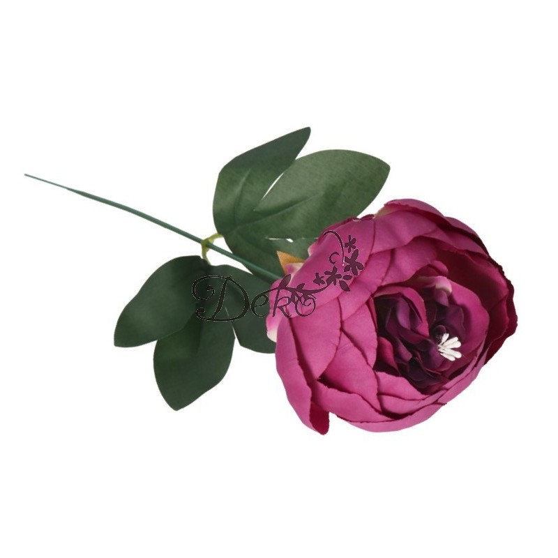 PIWONIA PEONIA GAŁĄZKA POJEDYNCZA DUŻA JAK ŻYWA