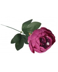 PIWONIA PEONIA GAŁĄZKA POJEDYNCZA DUŻA JAK ŻYWA