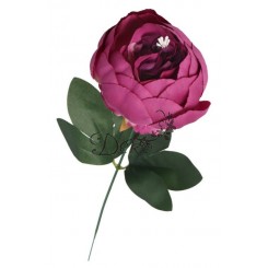 PIWONIA PEONIA GAŁĄZKA POJEDYNCZA DUŻA JAK ŻYWA