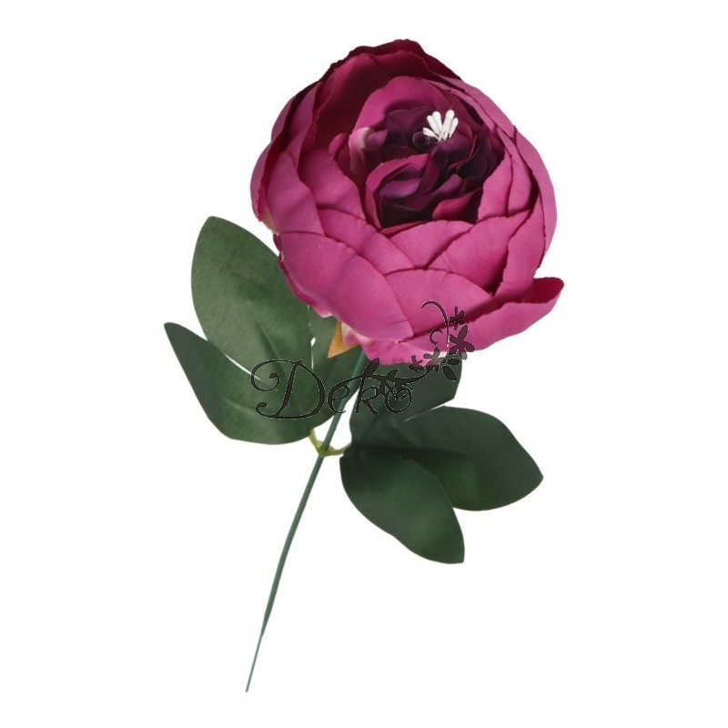 PIWONIA PEONIA GAŁĄZKA POJEDYNCZA DUŻA JAK ŻYWA