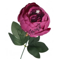 PIWONIA PEONIA GAŁĄZKA POJEDYNCZA DUŻA JAK ŻYWA