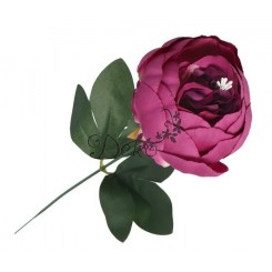 PIWONIA PEONIA GAŁĄZKA POJEDYNCZA DUŻA JAK ŻYWA