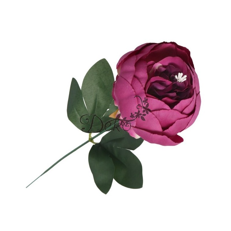 PIWONIA PEONIA GAŁĄZKA POJEDYNCZA DUŻA JAK ŻYWA