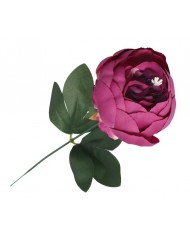 PIWONIA PEONIA GAŁĄZKA POJEDYNCZA DUŻA JAK ŻYWA