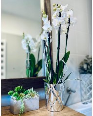 DONICZKA OSŁONKA CERAMICZNA NA STORCZYK 15 CM