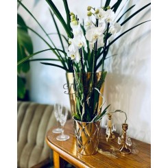 DONICZKA OSŁONKA CERAMICZNA NA STORCZYK 15 CM