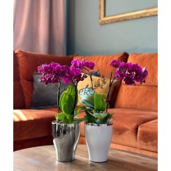 DONICZKA OSŁONKA CERAMICZNA NA STORCZYK SREBRNA