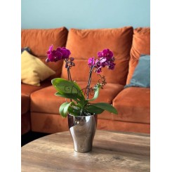 DONICZKA OSŁONKA CERAMICZNA NA STORCZYK SREBRNA