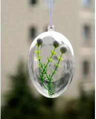 JAJKO AKRYLOWE PRZEŹROCZYSTE JAJKA AKRYLOWE 6CM 10SZT.