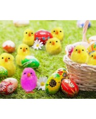 KURCZAKI WIELKANOCNE 60SZT 3 CM KURCZAKI DO STROIKA
