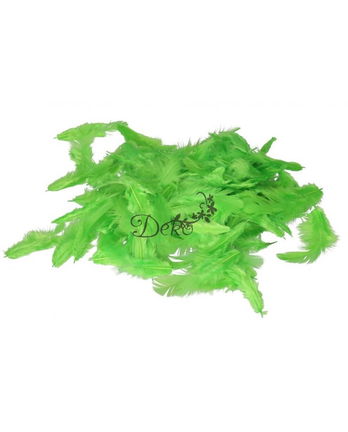 PIÓRA PIÓRKA DEKORACYJNE OZDOBNE13G 6-10CM ZIELONE