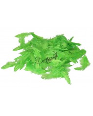 PIÓRA PIÓRKA DEKORACYJNE OZDOBNE13G 6-10CM POMARAŃCZOWE