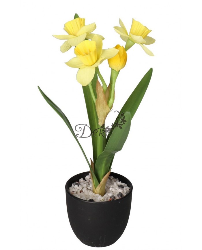 ŻONKIL ŻONKILE SZTUCZNE KWIATY W DONICZCE