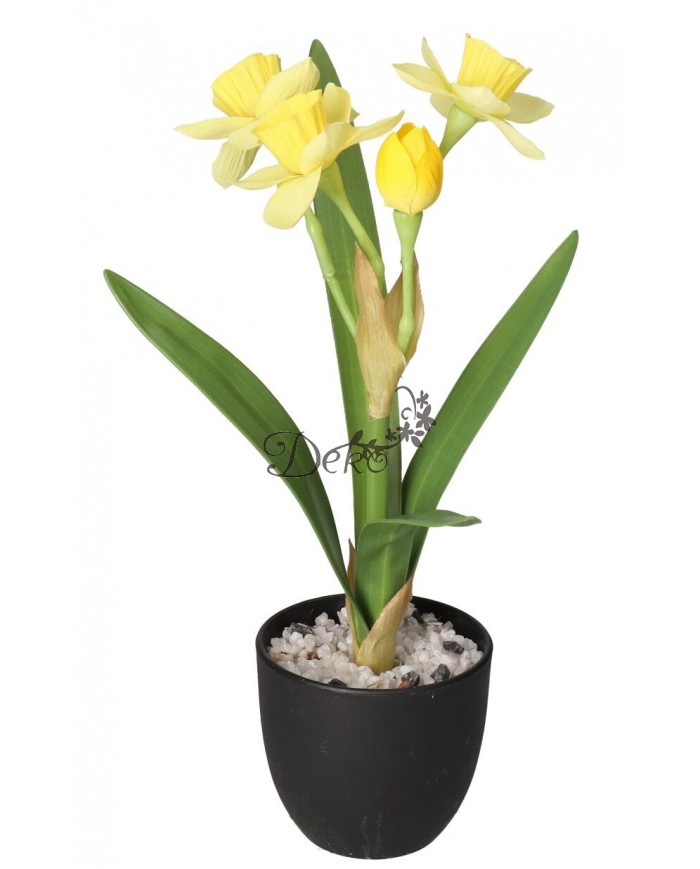 ŻONKIL ŻONKILE SZTUCZNE KWIATY W DONICZCE