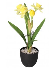 ŻONKIL ŻONKILE SZTUCZNE KWIATY W DONICZCE