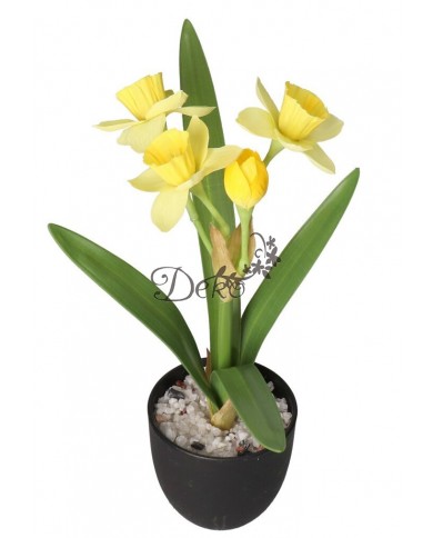 ŻONKIL ŻONKILE SZTUCZNE KWIATY W DONICZCE