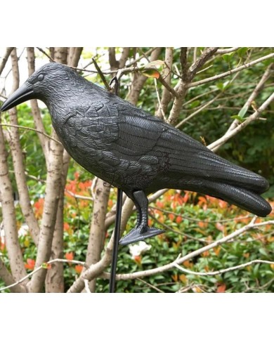 KRUK DUŻY ODSTRASZACZ GOŁĘBI PTAKÓW SZPAKÓW BALKON