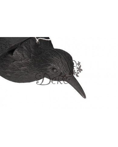 KRUK DUŻY NA BALKON ODSTRASZACZ PTAKÓW W LOCIE