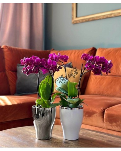 DONICZKA OSŁONKA CERAMICZNA NA STORCZYK BIAŁA