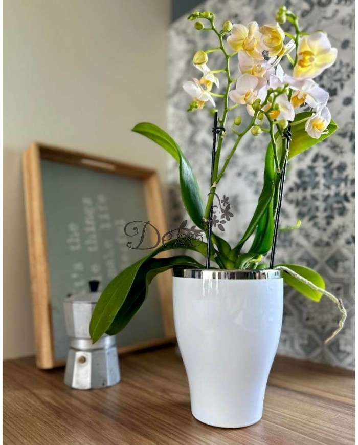 DONICZKA OSŁONKA CERAMICZNA NA STORCZYK BIAŁA