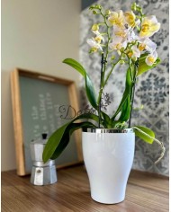 DONICZKA OSŁONKA CERAMICZNA NA STORCZYK BIAŁA