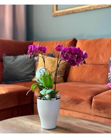 DONICZKA OSŁONKA CERAMICZNA NA STORCZYK BIAŁA