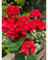 PELARGONIA W DONICZCE NA BALKON SZTUCZNE KWIATY JAK ŻYWE