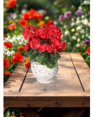 PELARGONIA W DONICZCE SZTUCZNE KWIATY JAK ŻYWE