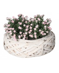 DONICZKA OSŁONKA WIKLINOWA 30 CM PODKŁAD