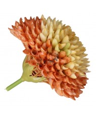 CZOSNEK GŁÓWKA DO WYRABIANIA JAK ŻYWA GUMOWA 8CM PREMIUM