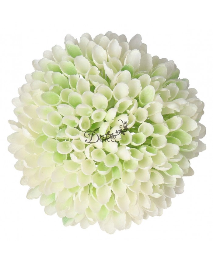 CZOSNEK GŁÓWKA DO WYRABIANIA JAK ŻYWA GUMOWA 8CM PREMIUM