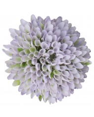 CZOSNEK GŁÓWKA DO WYRABIANIA JAK ŻYWA GUMOWA 8CM PREMIUM