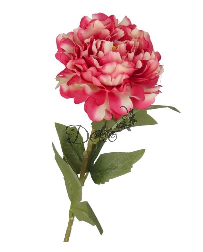 PIWONIA PEONIA POJEDYNCZA JAK ŻYWA DUŻA 60CM SATYNOWA SZTUCZNE KWIATY