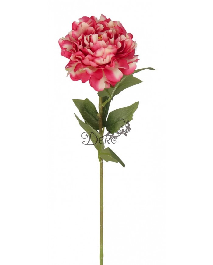 PIWONIA PEONIA POJEDYNCZA JAK ŻYWA DUŻA 60CM SATYNOWA SZTUCZNE KWIATY