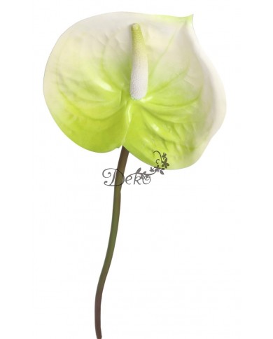 ANTURIUM GUMOWE POJEDYNCZE JAK ŻYWE 67 CM SZTUCZNE KWIATY PREMIUM