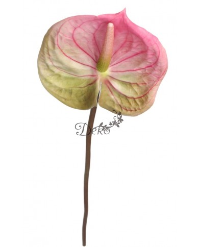 ANTURIUM GUMOWE POJEDYNCZE JAK ŻYWE 67 CM SZTUCZNE KWIATY PREMIUM