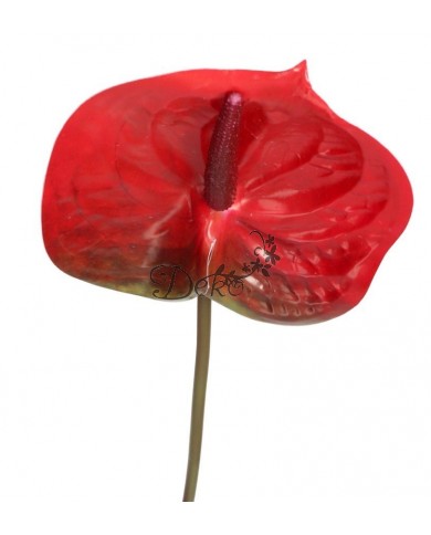 ANTURIUM GUMOWE POJEDYNCZE JAK ŻYWE 67 CM SZTUCZNE KWIATY PREMIUM