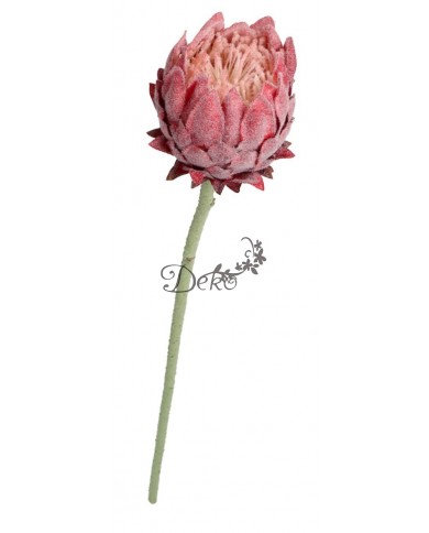 KARCZOCH SZTUCZNY PIANKOWY PROTEA SZTUCZNE KWIATY OMSZAŁY 64CM PREMIUM