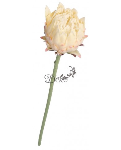 KARCZOCH SZTUCZNY PIANKOWY PROTEA SZTUCZNE KWIATY OMSZAŁY 64CM PREMIUM