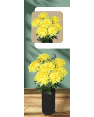 DALIA BUKIET KWIATÓW DUŻY GĘSTY SZTUCZNE KWIATY 44CM