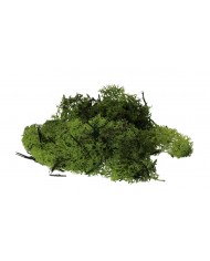 MECH CHROBOTEK 35G OZDOBA NATURALNA DEKORACJA