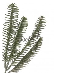 GAŁĄZKA IGLIWIA IGLIWIE GAŁĄZKI DO STROIKA 1SZT 34CM