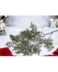 GAŁĄZKA DEKORACYJNA JODŁA Świąteczna 74 cm - Elegancka Ozdoba Zawieszana