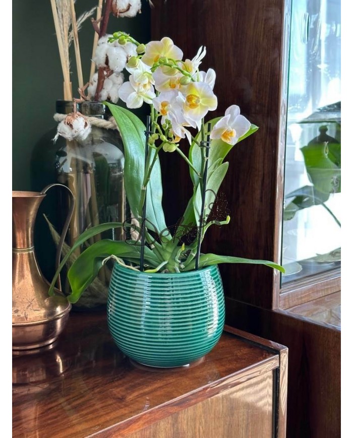 DONICZKA OSŁONKA CERAMICZNA NOWOCZESNA 15CM