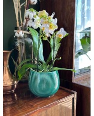 DONICZKA OSŁONKA CERAMICZNA NOWOCZESNA 15CM