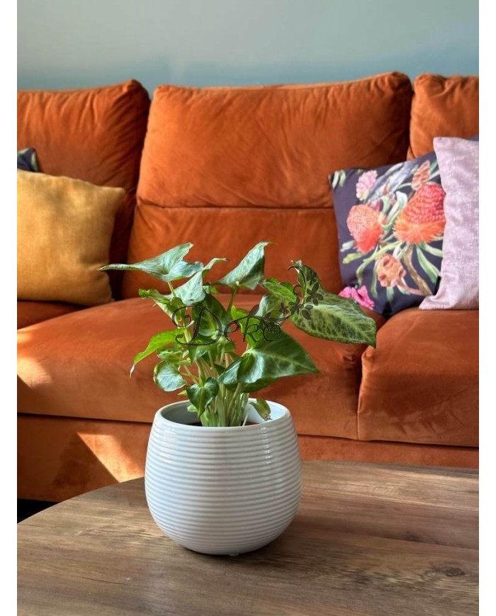 DONICZKA OSŁONKA CERAMICZNA NOWOCZESNA 15CM