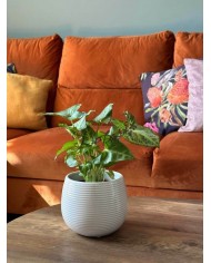 DONICZKA OSŁONKA CERAMICZNA NOWOCZESNA 15CM